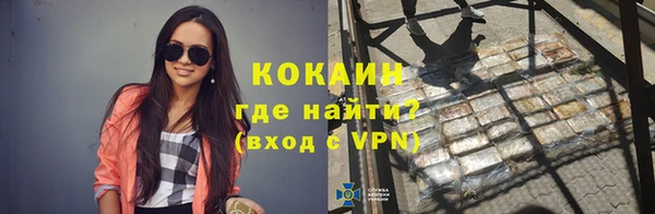 амф Пестово