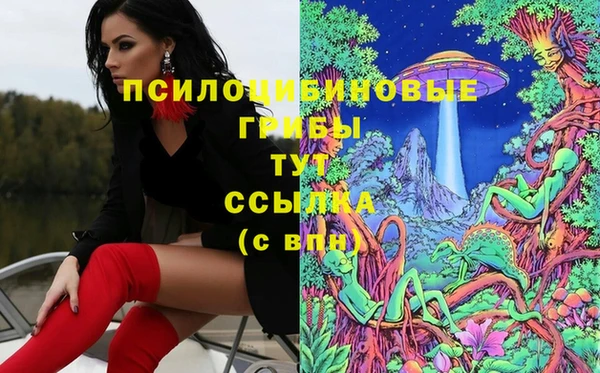 амф Пестово