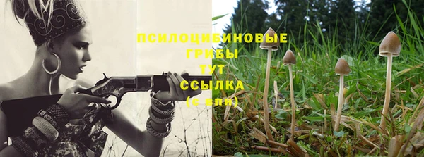 а пвп мука Осинники