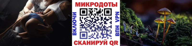 Галлюциногенные грибы Cubensis мега ссылка Фокино